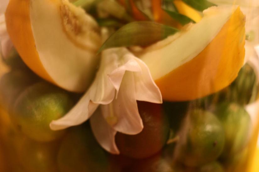 13217503_10208648010454304_1992623734701045704_o