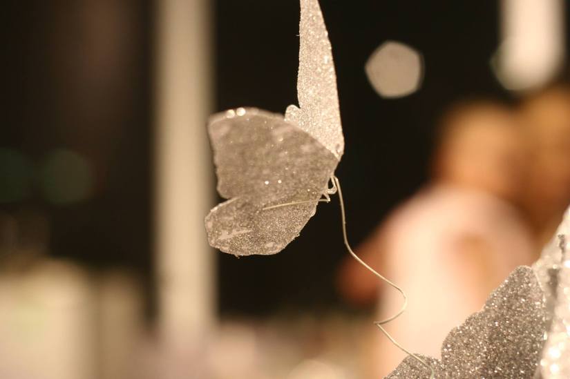 13268152_10208648006774212_4427086549422795846_o